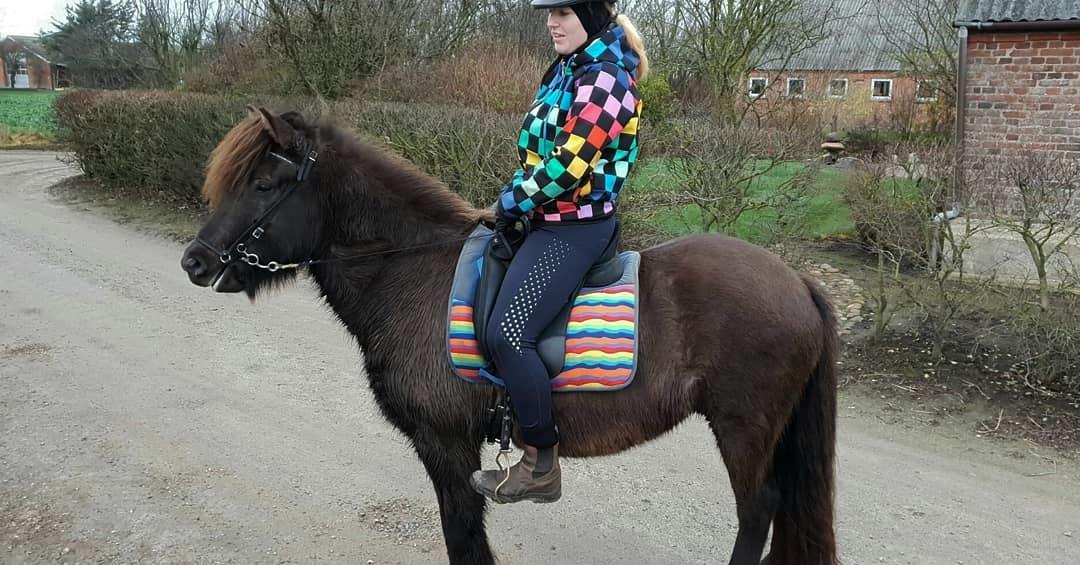 Islænder Embla fra Bakholm (Fartbøllen <3) billede 10