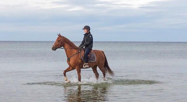 Anden særlig race Sepstrups playboy - Første tur i vandet:) - 16/9 - 18 billede 6