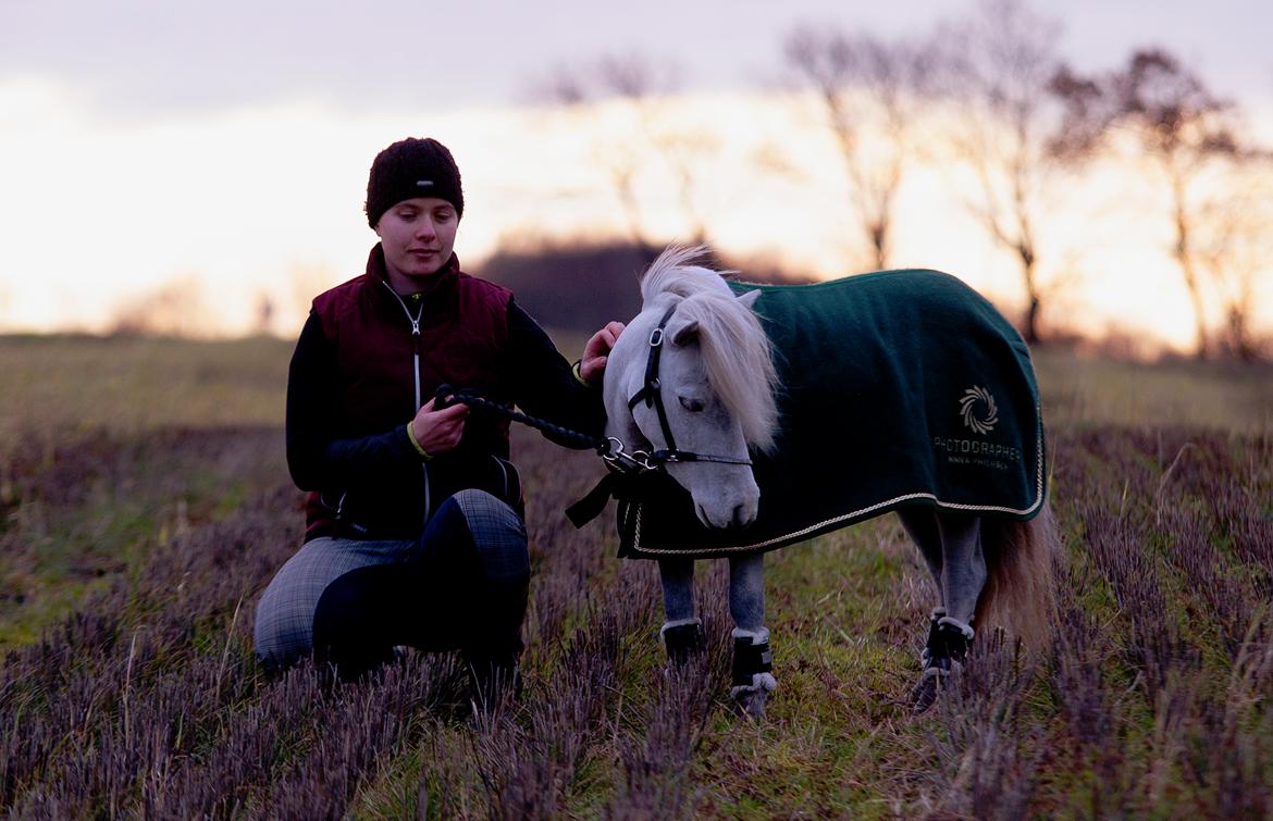 Miniature Máni - R.I.P Mani tak for alt du har givet mig <3 billede 1