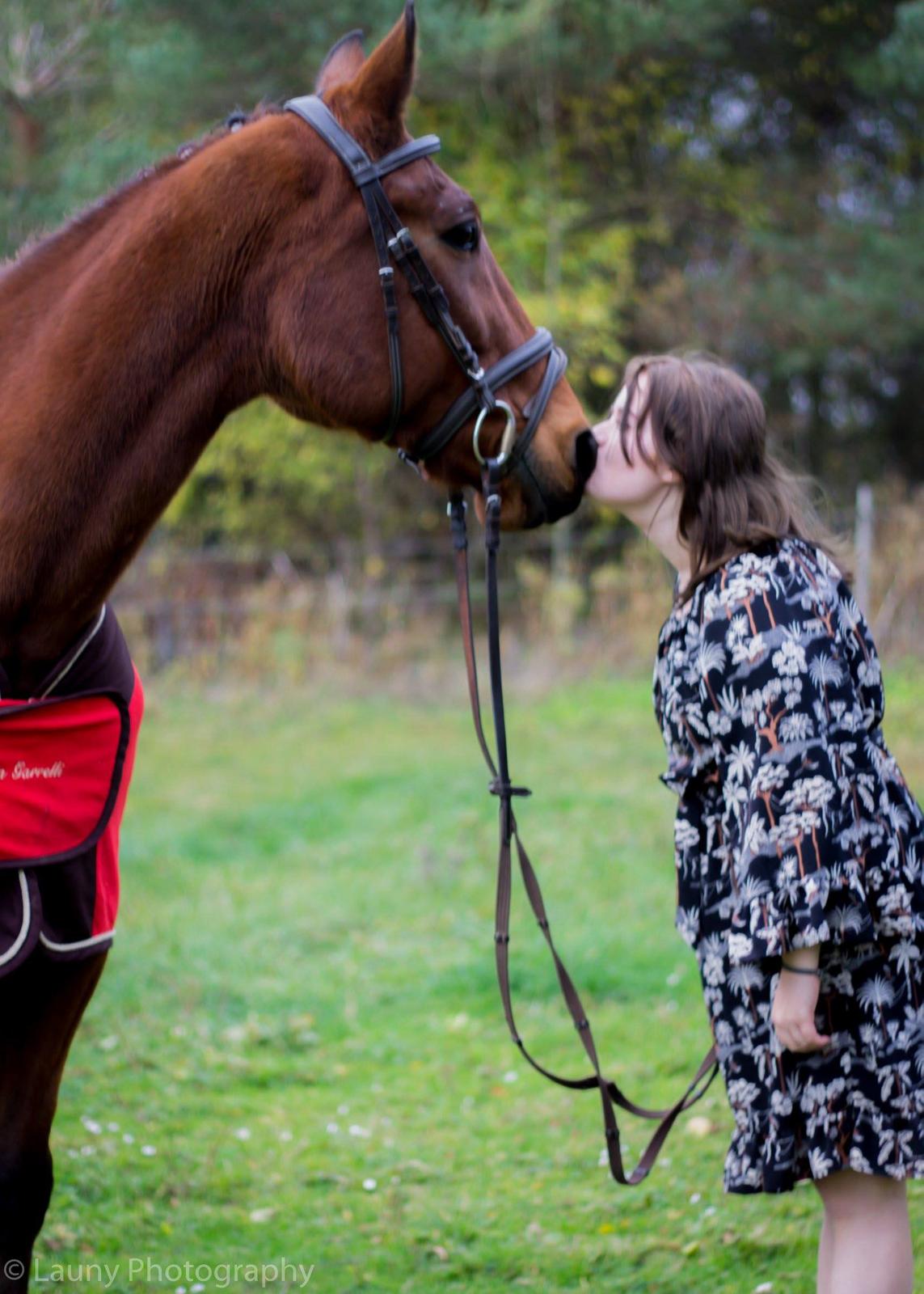 Traver Shiraz billede 8