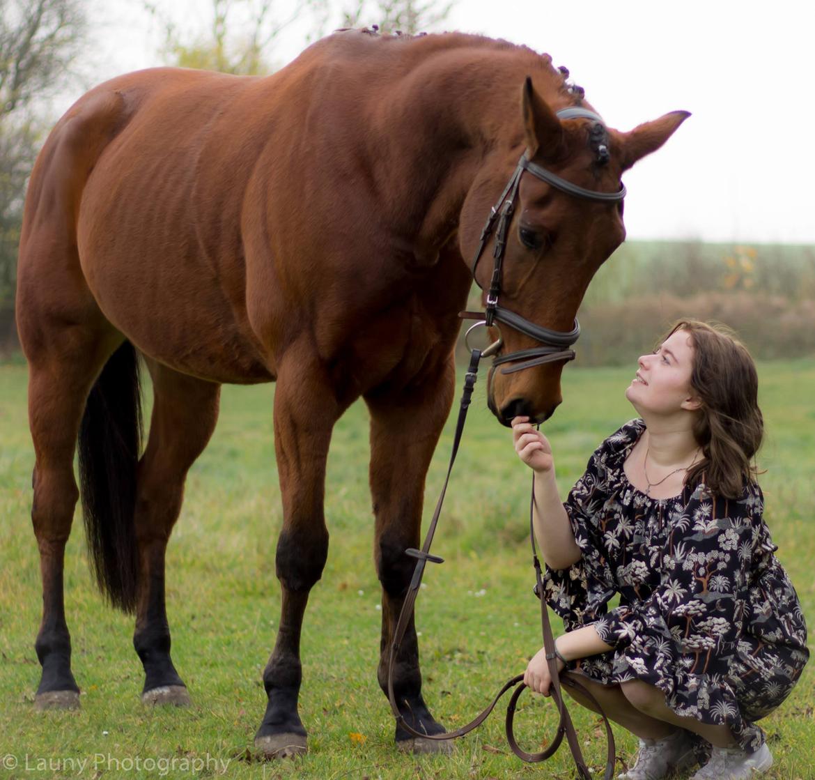 Traver Shiraz billede 9