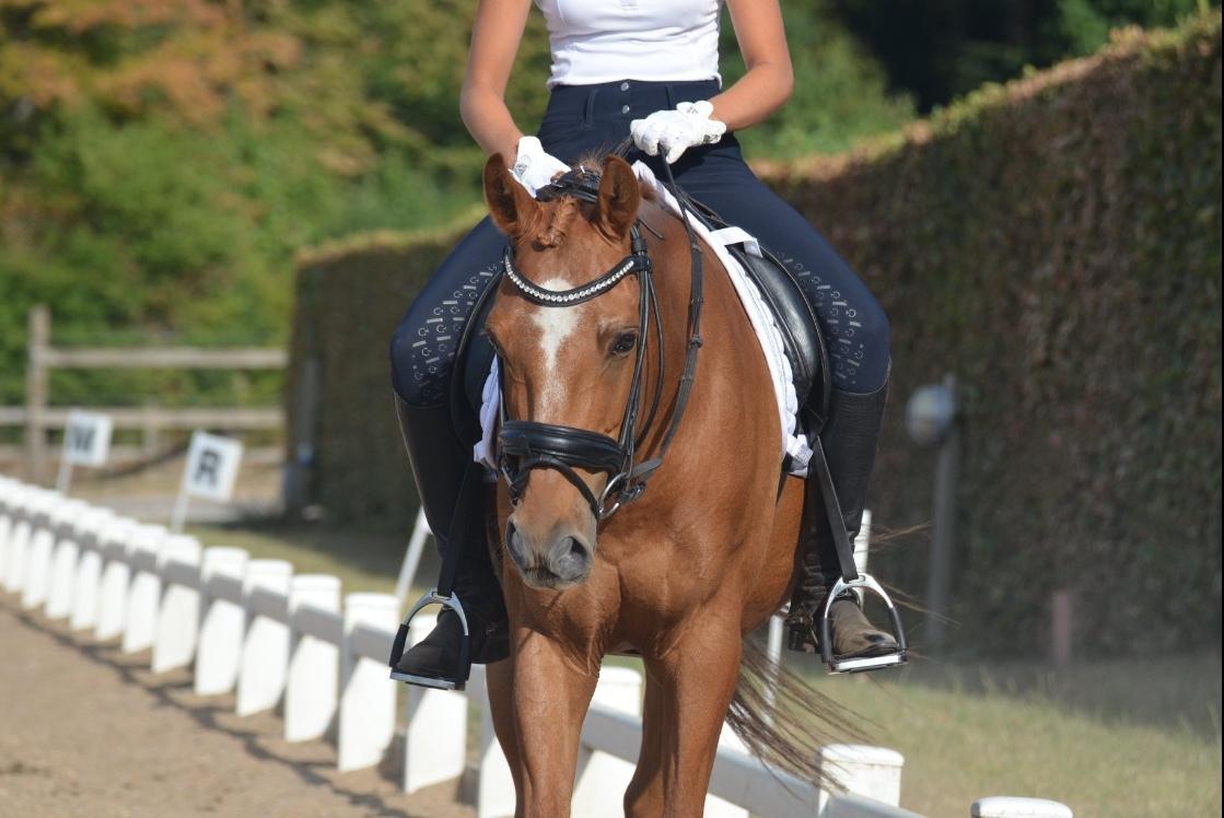 DSP Nørlunds el montana billede 9