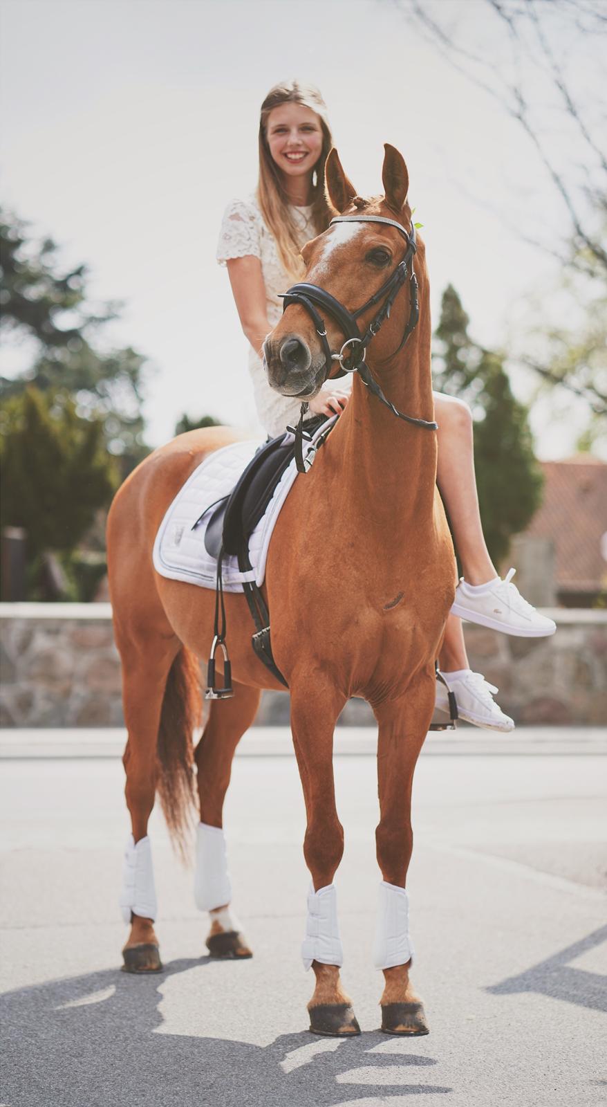 DSP Nørlunds el montana billede 15