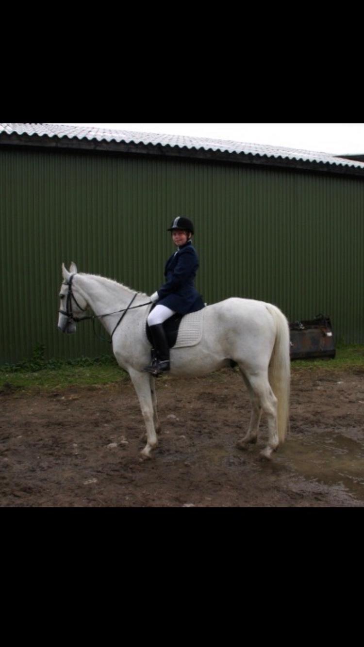 Anden særlig race prumand billede 9