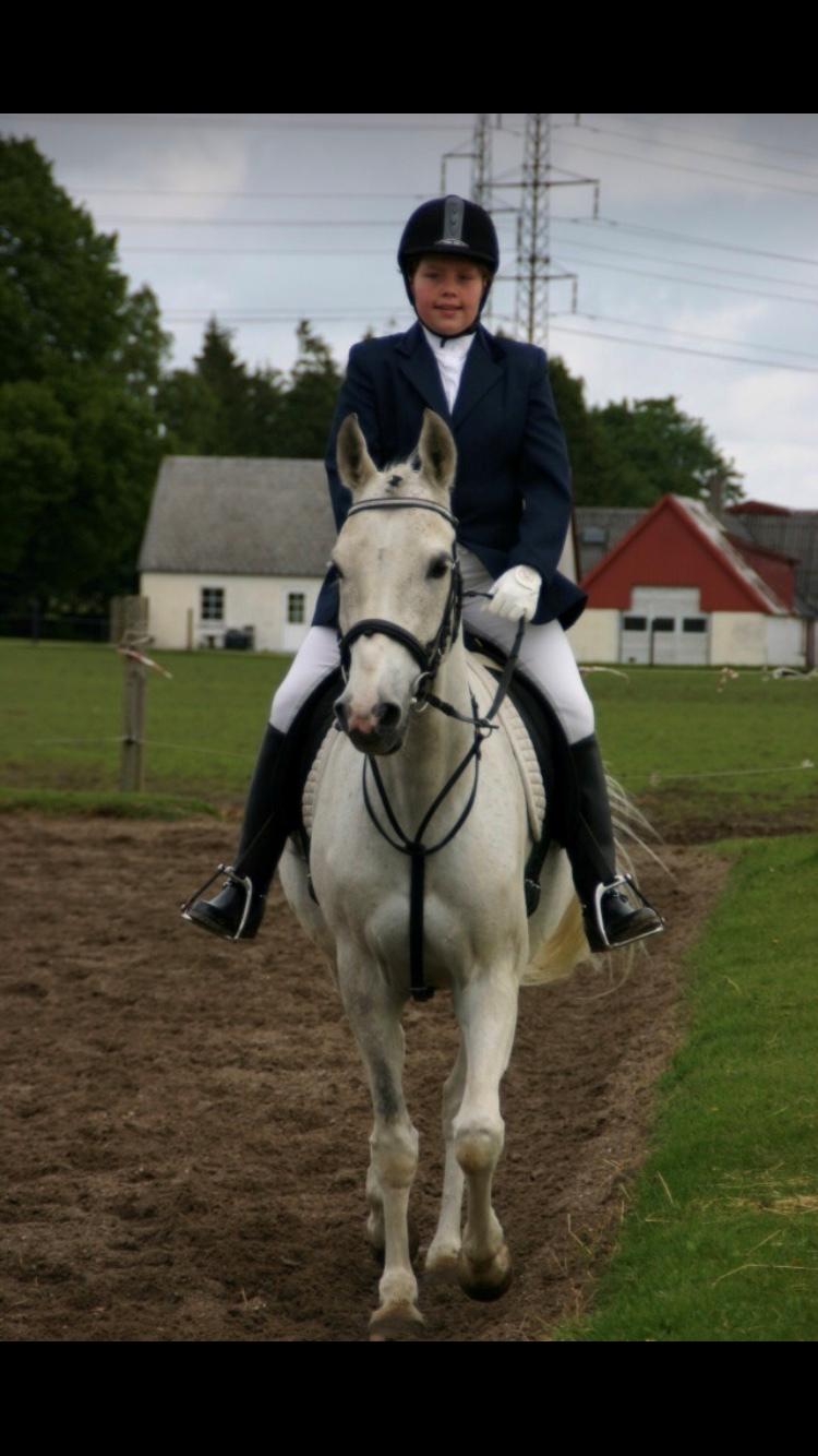 Anden særlig race prumand billede 12