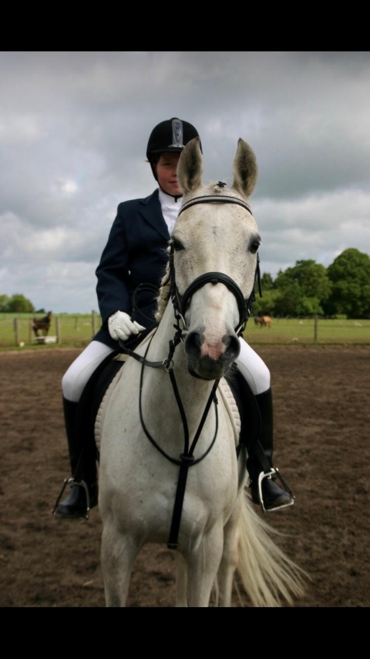 Anden særlig race prumand billede 15