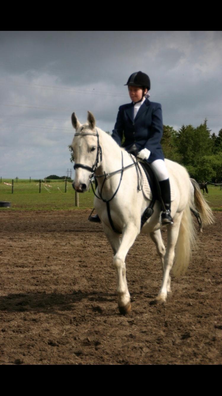 Anden særlig race prumand billede 14