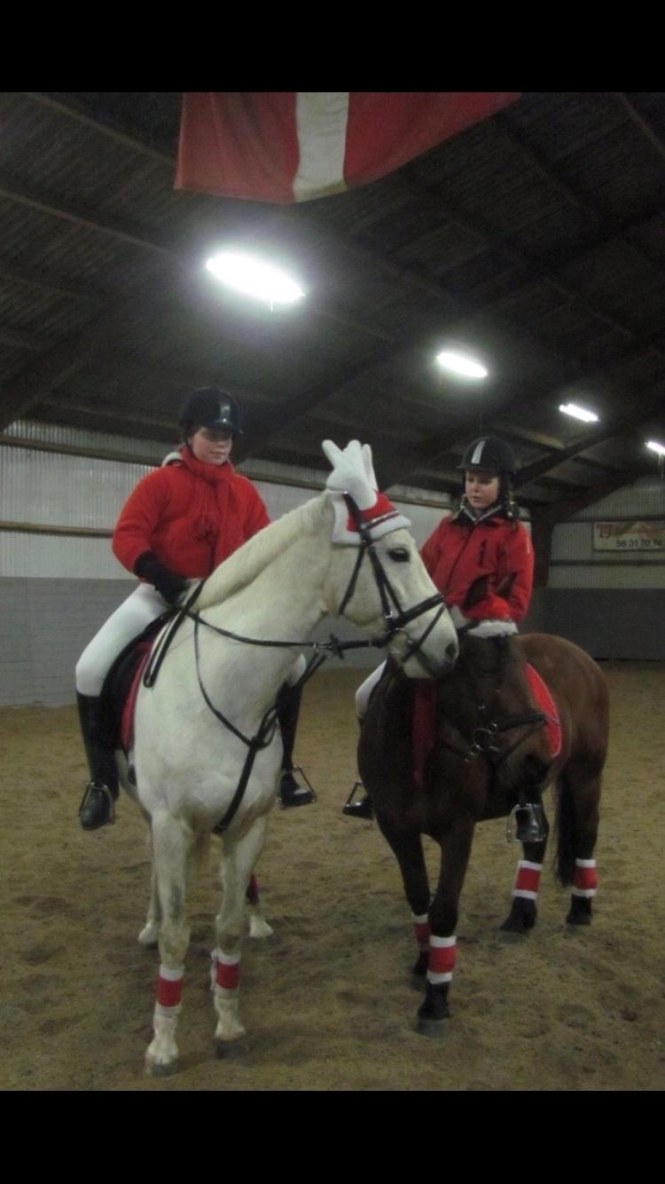 Anden særlig race prumand billede 13