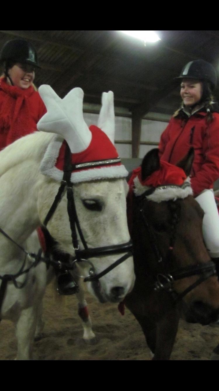 Anden særlig race prumand billede 11