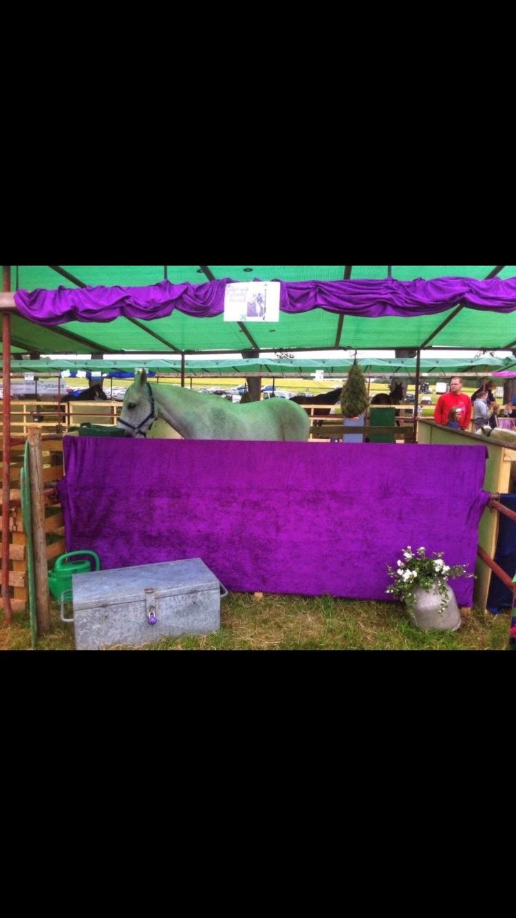 Anden særlig race prumand billede 18