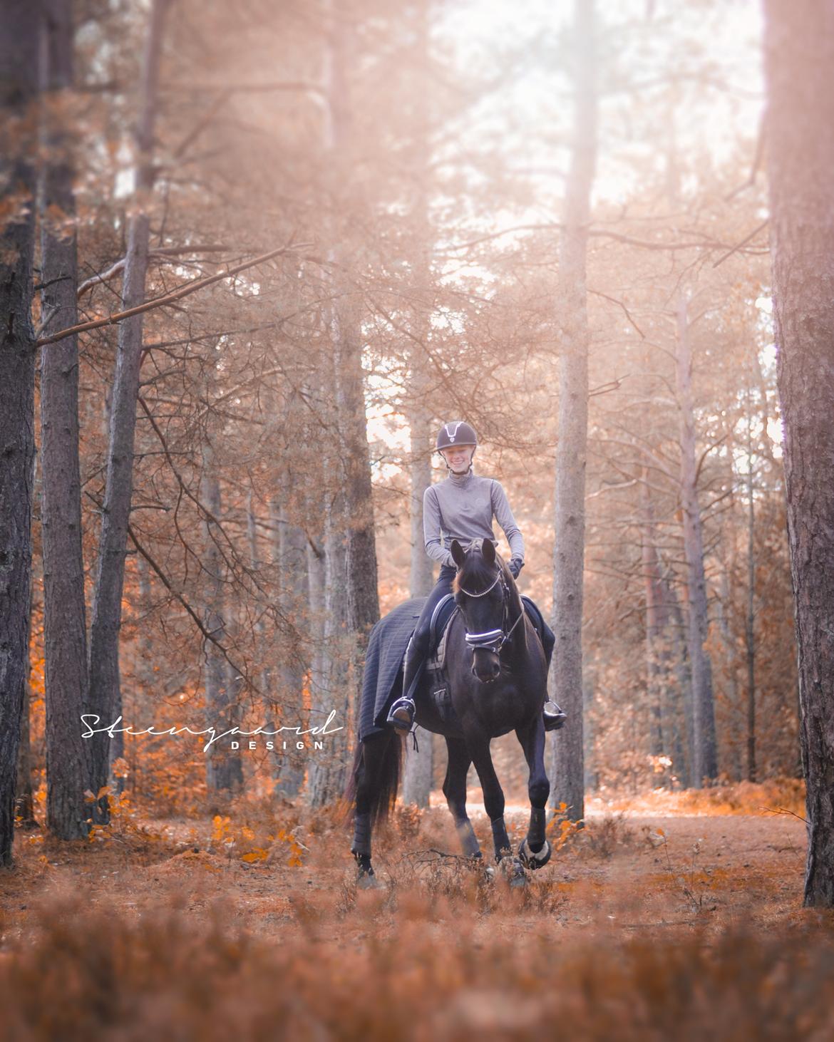 Dansk Varmblod Diega gold s.g. - På eventyr med min bedste ven <3 FOTO: steengaard design billede 8