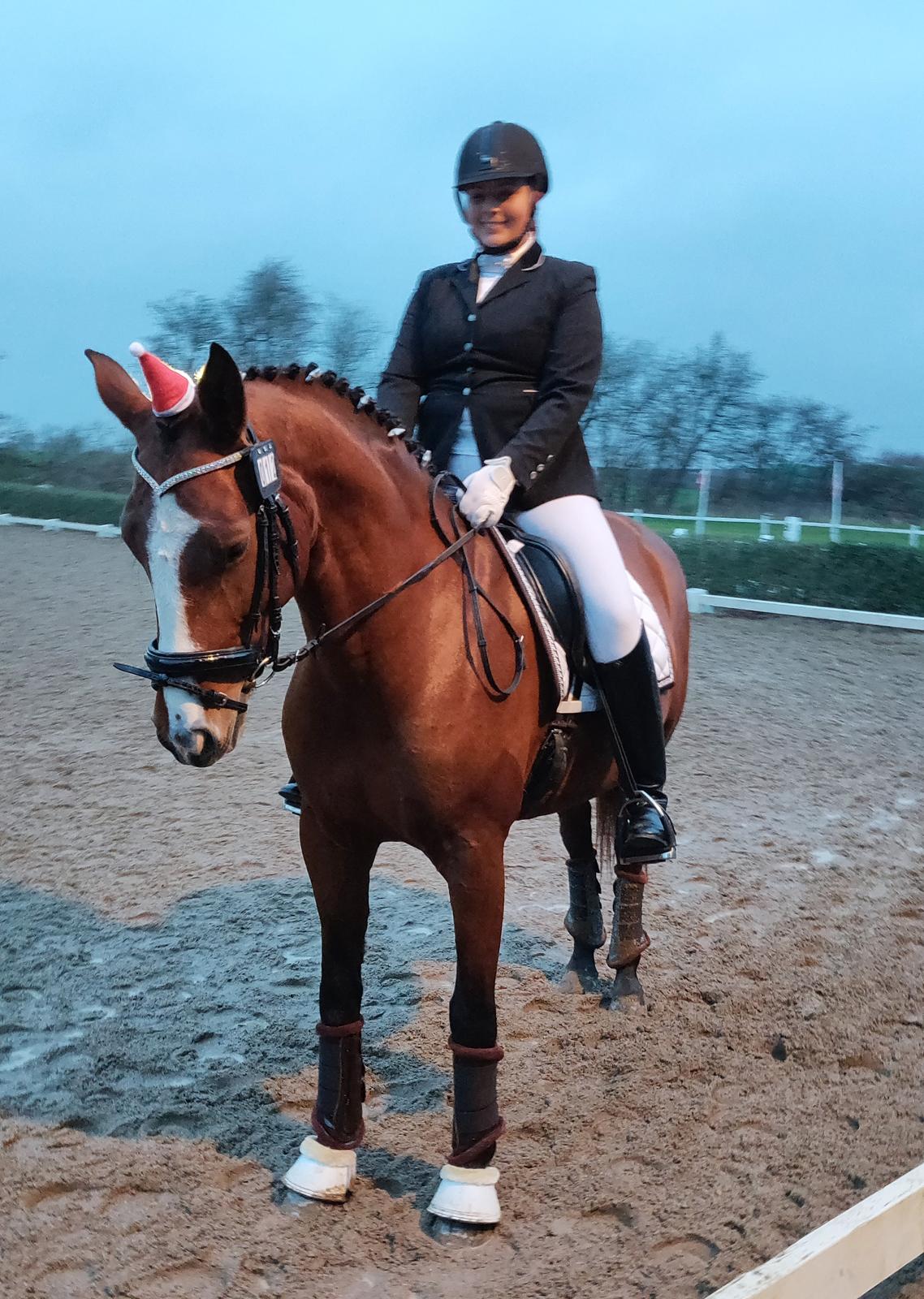 Anden særlig race Gloria billede 19