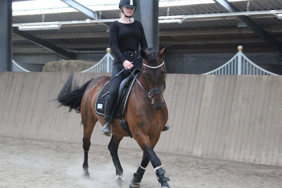 Anden særlig race Josefine. billede 17