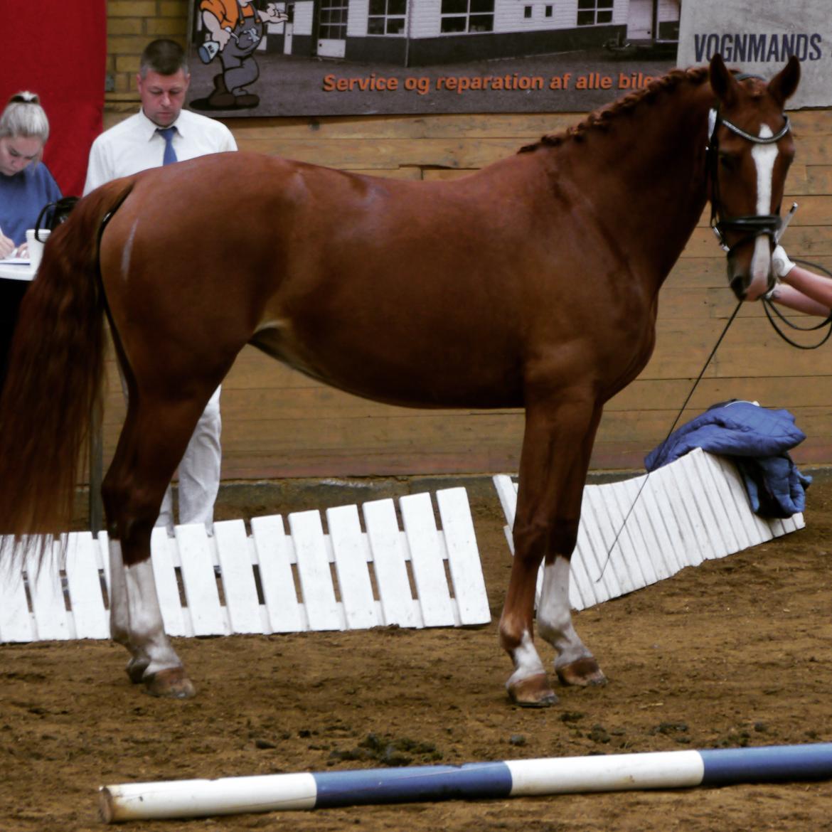 Frederiksborg Hedevangs viva billede 1