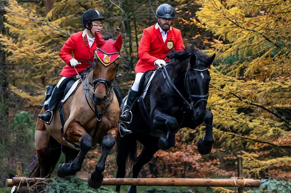 Dansk Varmblod Cheval - EOR Jagt, Marbæk, Esbjerg billede 1