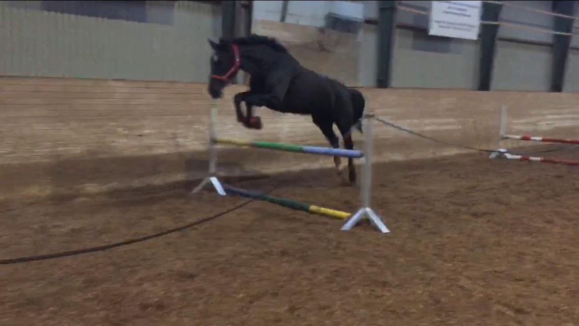 Oldenborg Maggie Tisted billede 5