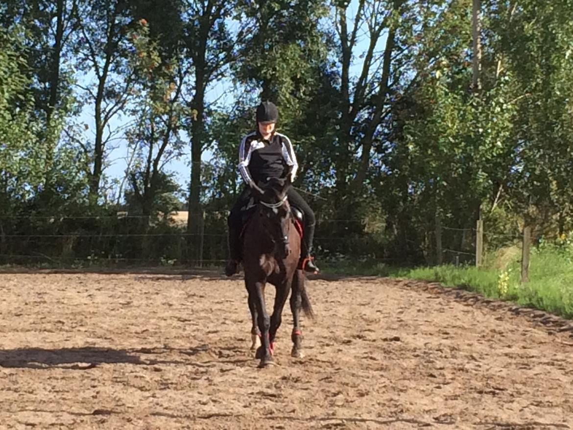 Oldenborg Maggie Tisted - August 2017 billede 4