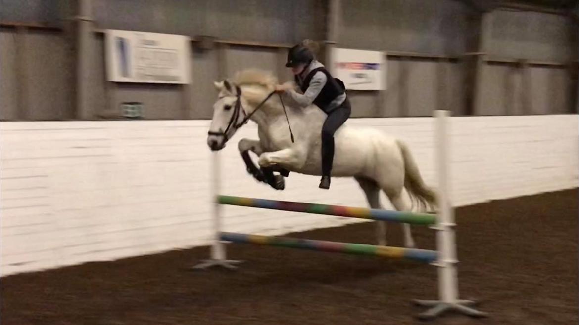 Connemara Thamdrup's real joy billede 10