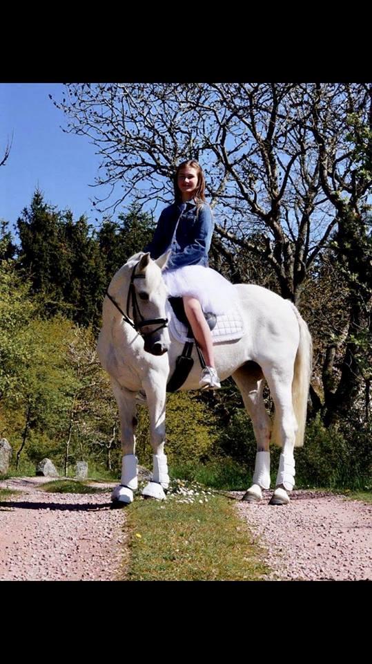 Connemara Thamdrup's real joy billede 16