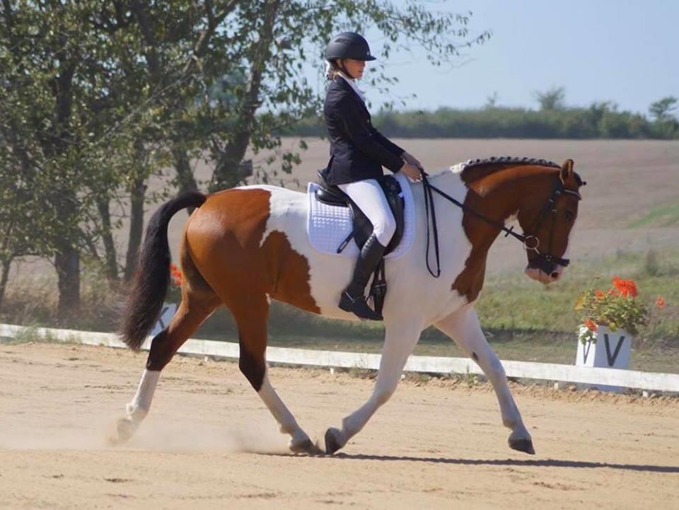 Anden særlig race Bjørnegård's memento billede 3