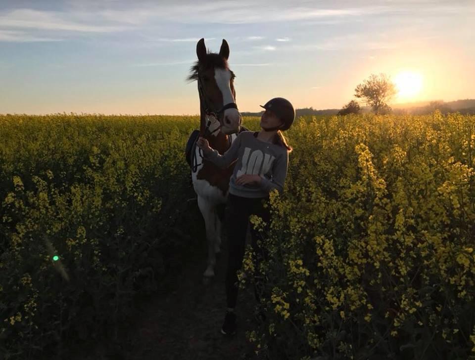 Anden særlig race Bjørnegård's memento billede 7