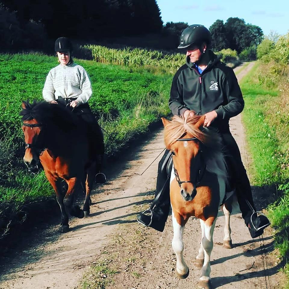 Islænder Glitfaxi fra Spøttrup - sommer 2018 her er det ahns ejer der rider ham, og ikke mig billede 10