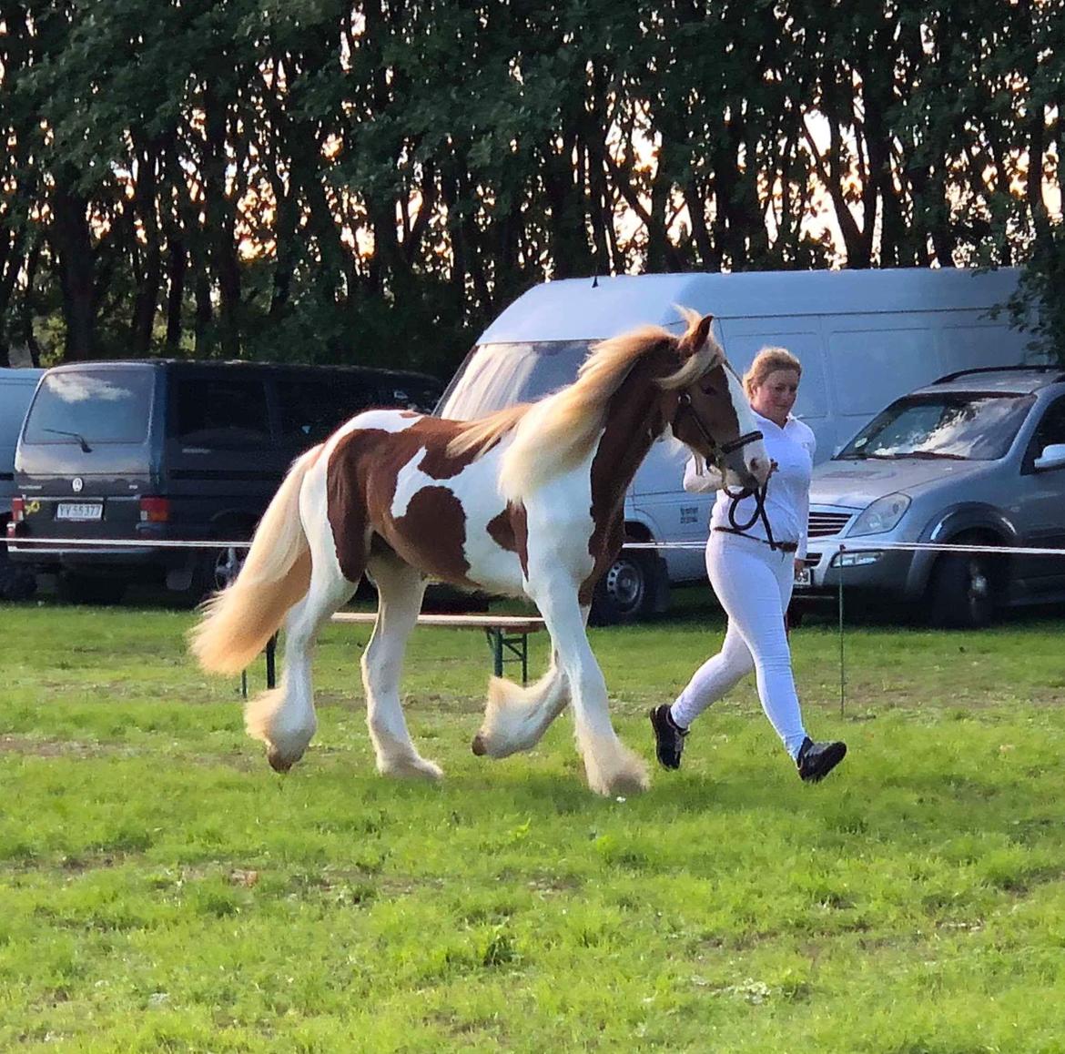 Tinker Satin's Quickie Solgt billede 5