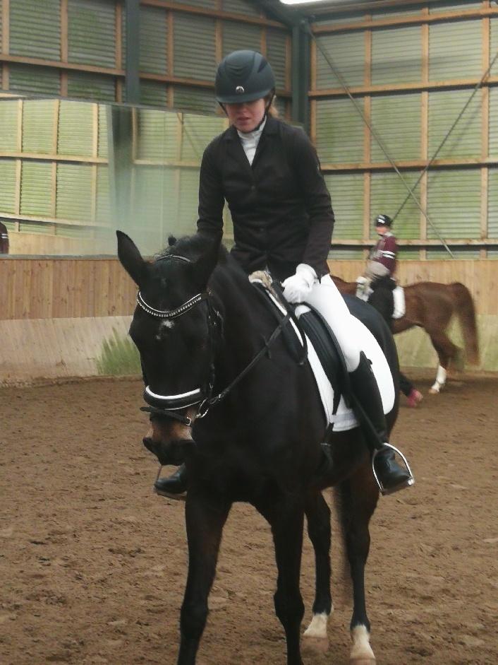 Tysk Sportspony | Etna | *Lille Pigen* |  billede 16