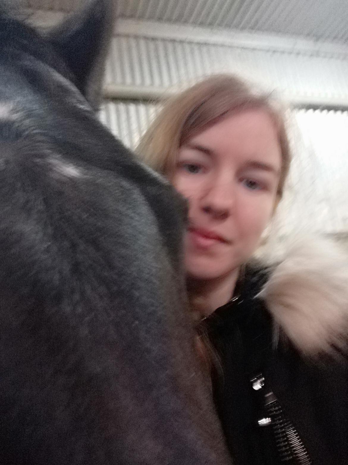 Tysk Sportspony | Etna | *Lille Pigen* |  billede 21