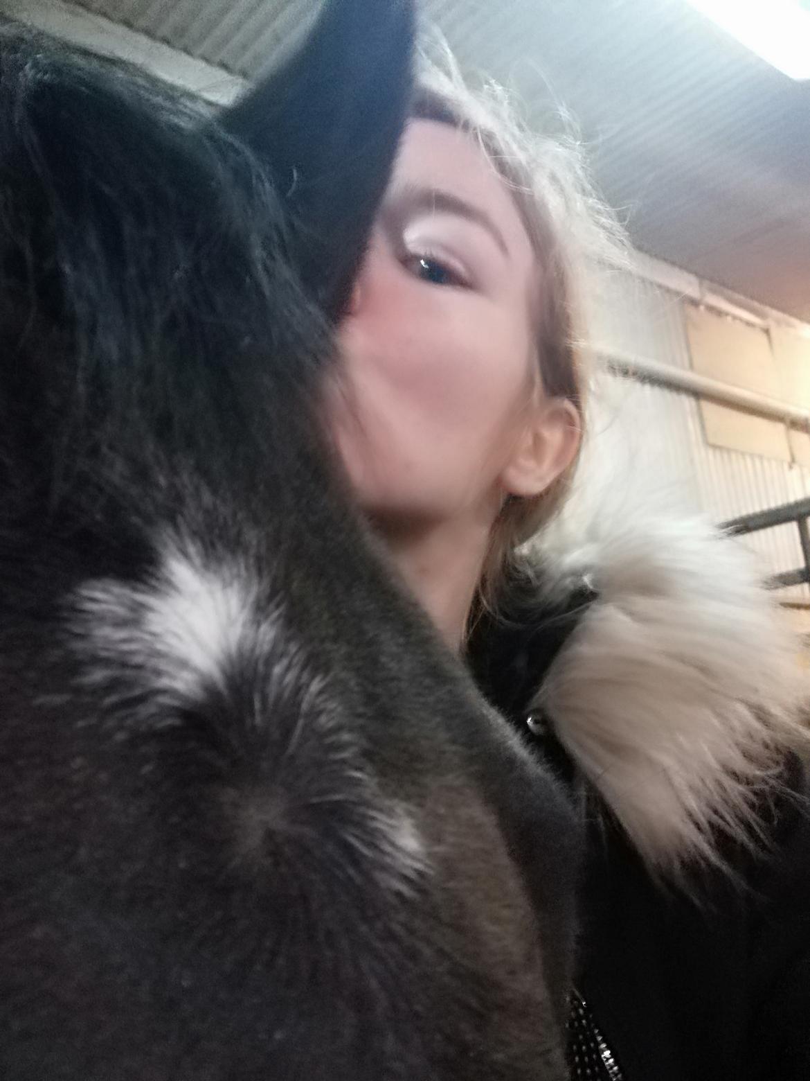 Tysk Sportspony | Etna | *Lille Pigen* |  billede 22