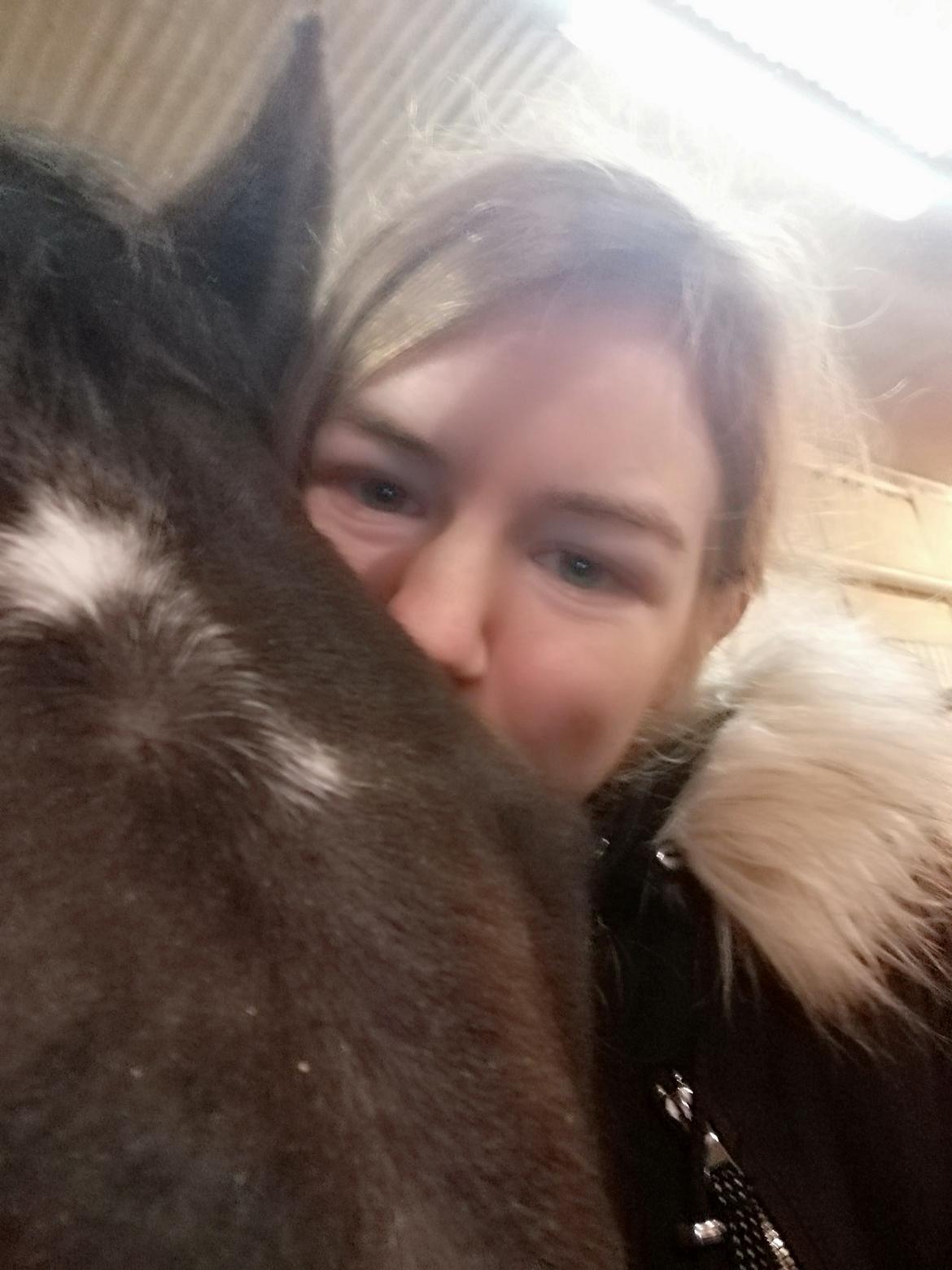 Tysk Sportspony | Etna | *Lille Pigen* |  billede 23