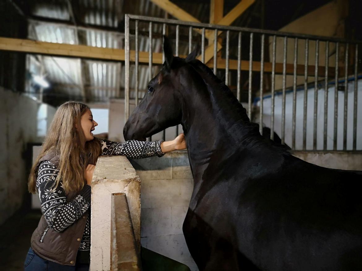 Frieser Dancing Queen  (Liske) billede 1