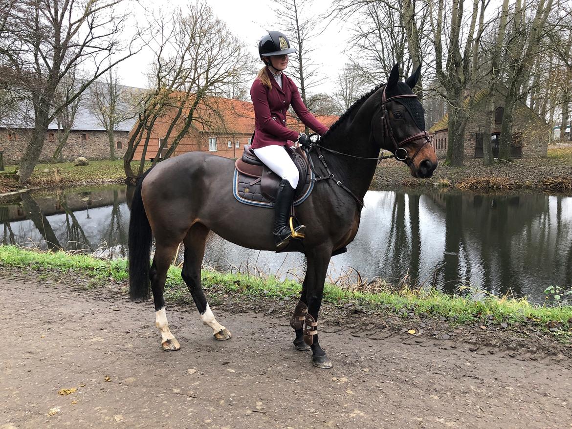 Holstener Golddate billede 3