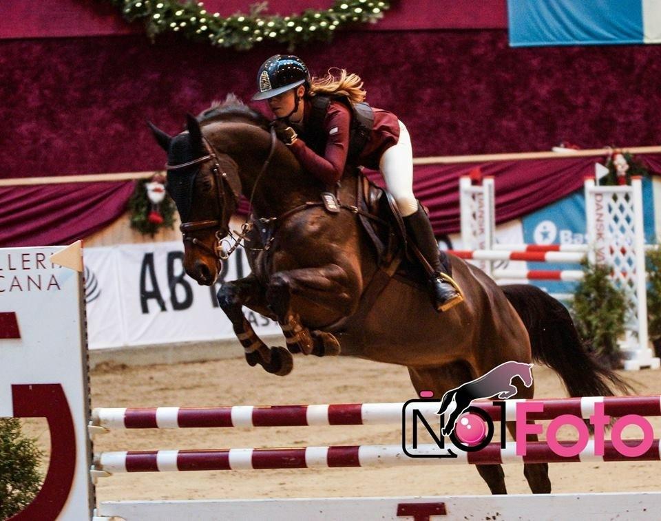 Holstener Golddate - Christmas Show WU Bronzeturs-finalen.  billede 1