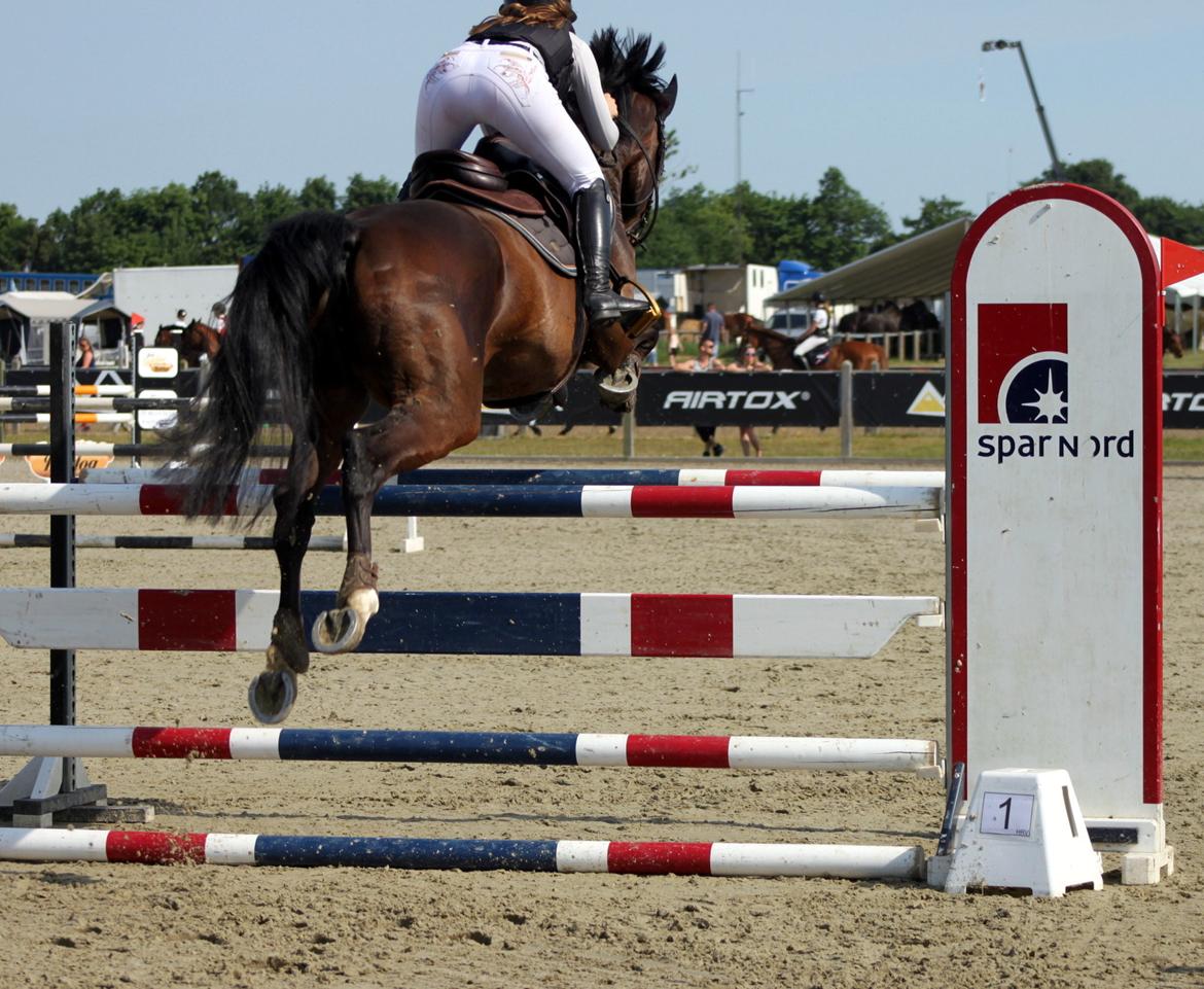 Holstener Golddate billede 9