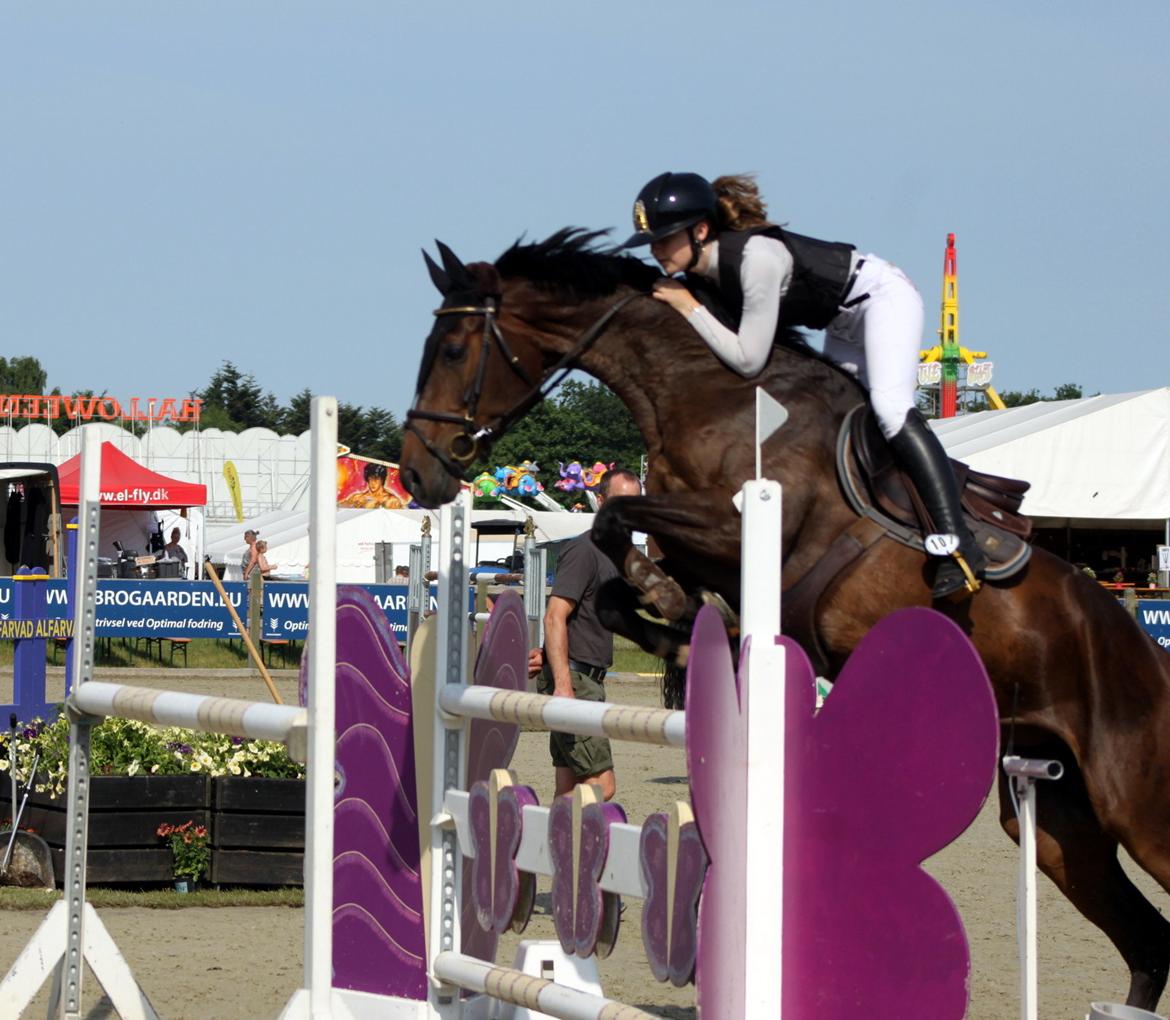 Holstener Golddate - Vores første LA sammen til Hjallerup Marked 2018. billede 5