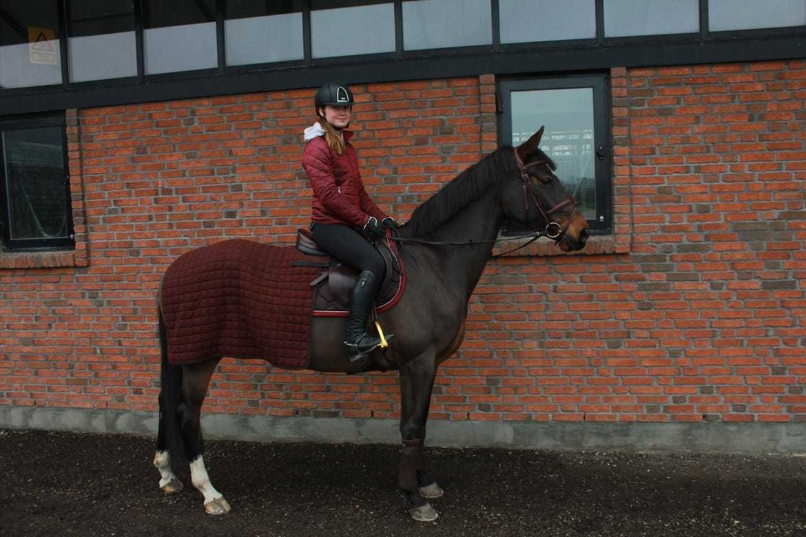 Holstener Golddate billede 11