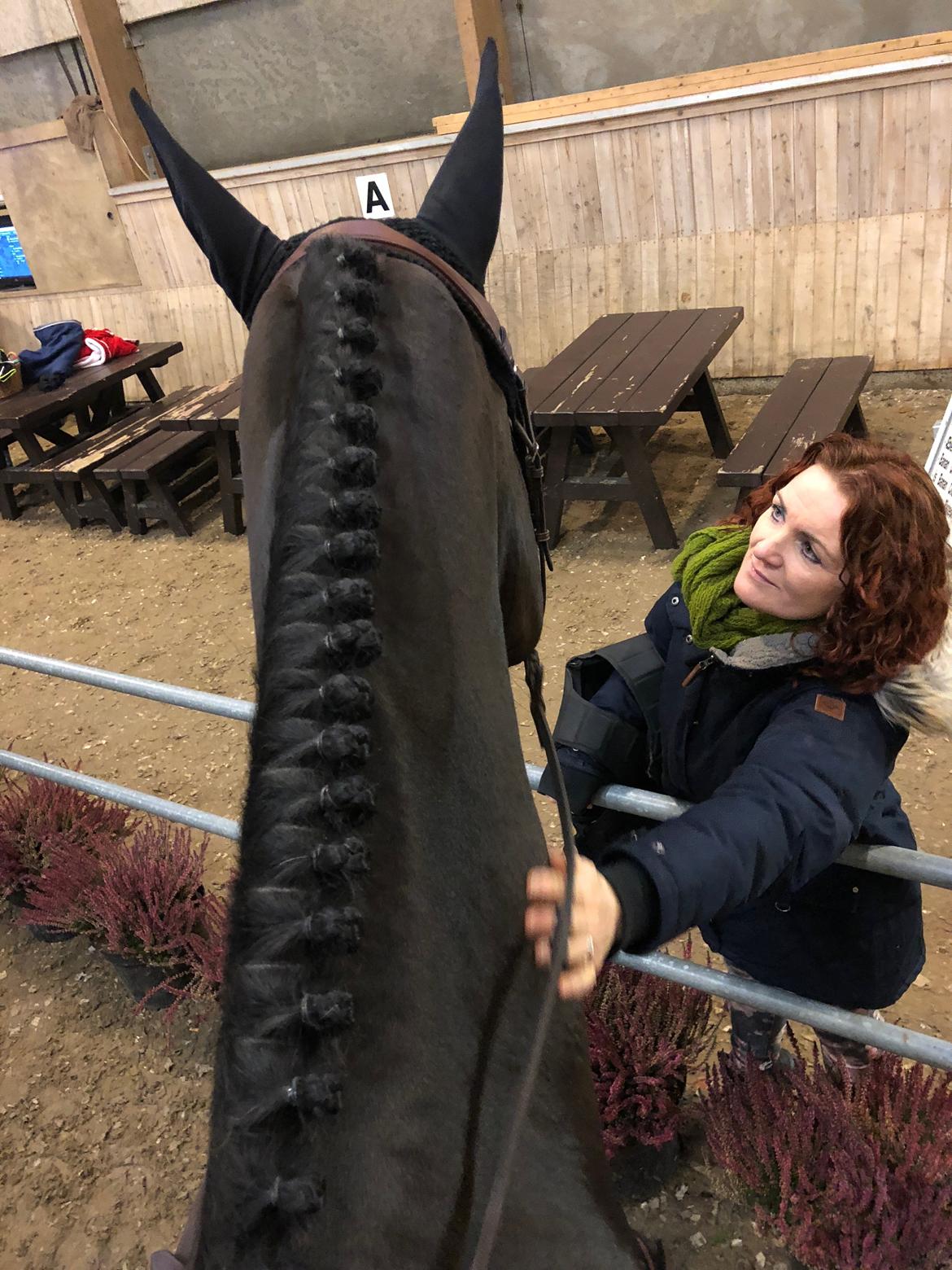 Holstener Golddate - Mor og Golddate<3 billede 13