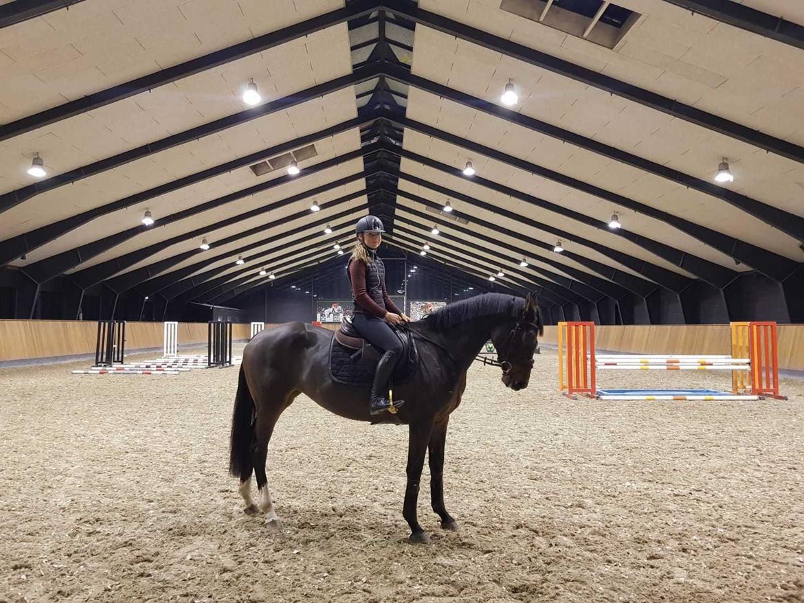 Holstener Golddate billede 10