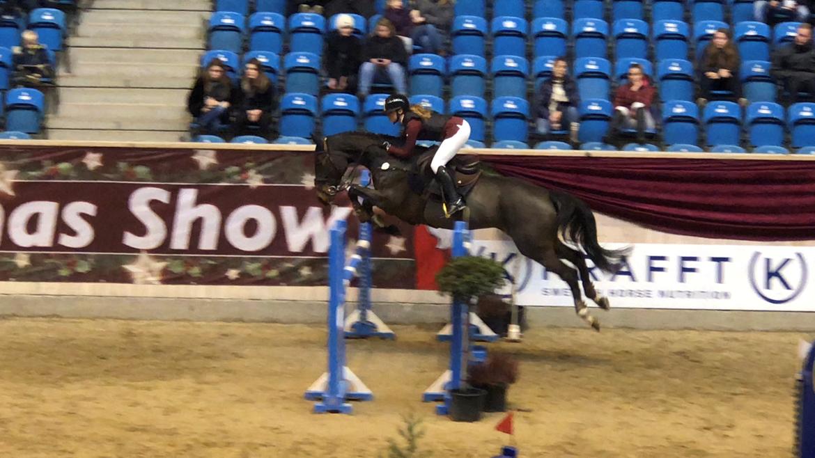 Holstener Golddate billede 18