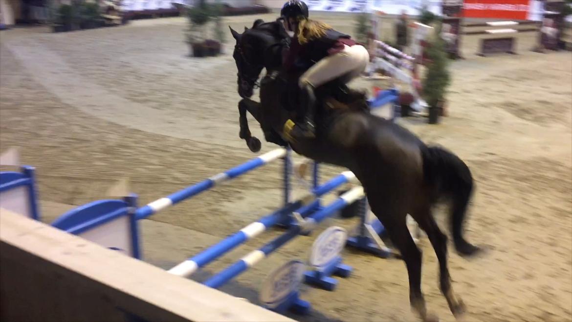 Holstener Golddate billede 16