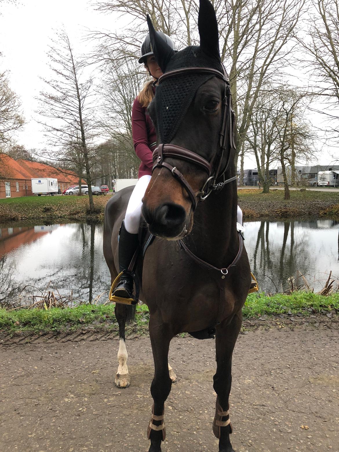 Holstener Golddate billede 17