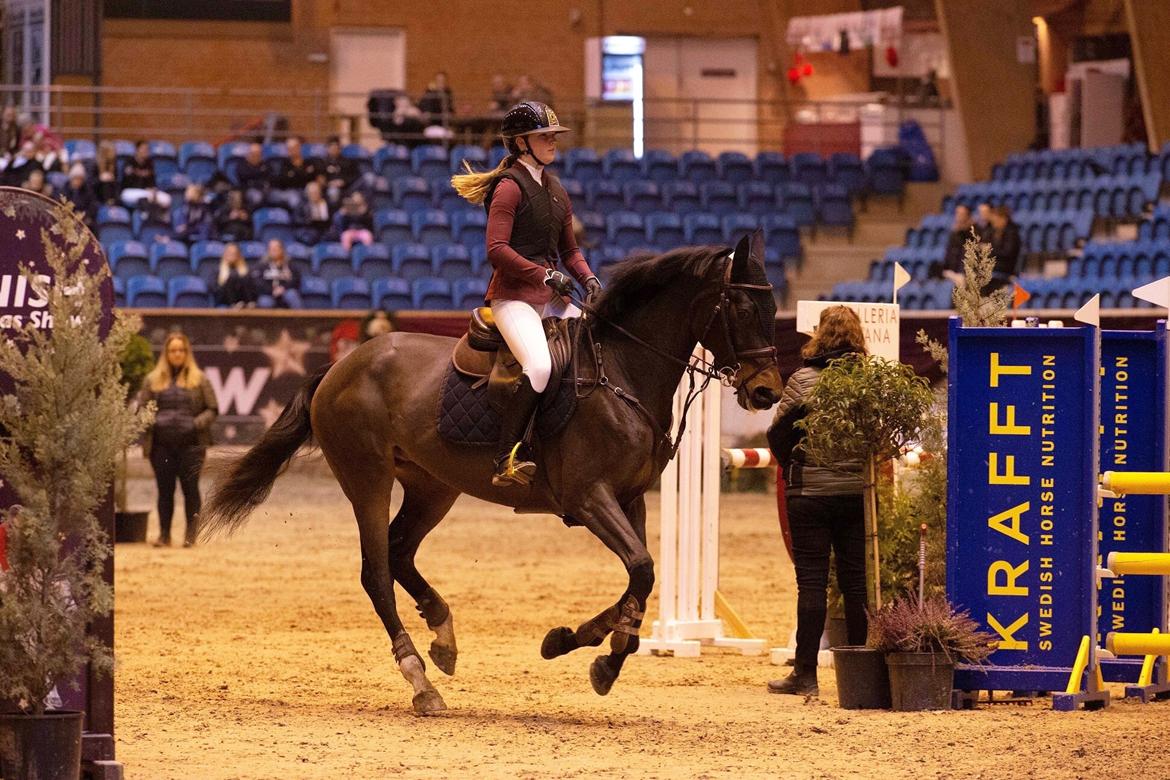 Holstener Golddate billede 14