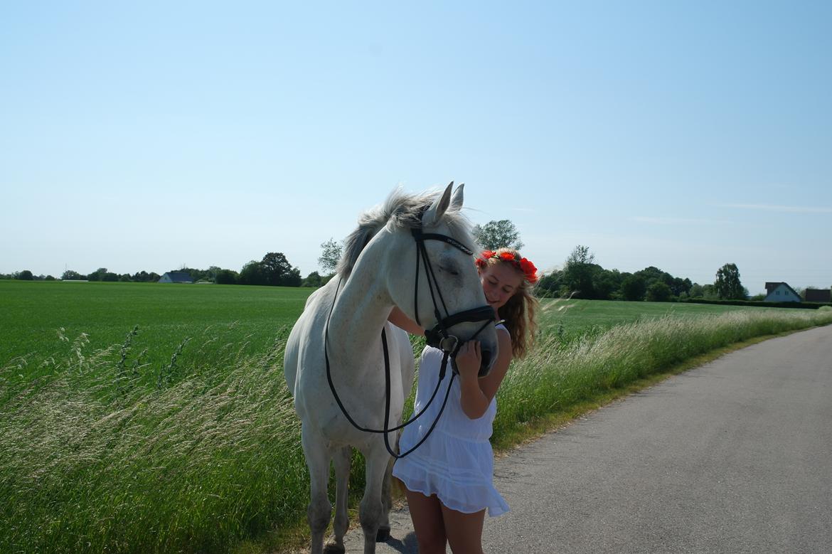 Anden særlig race Tequila  billede 2