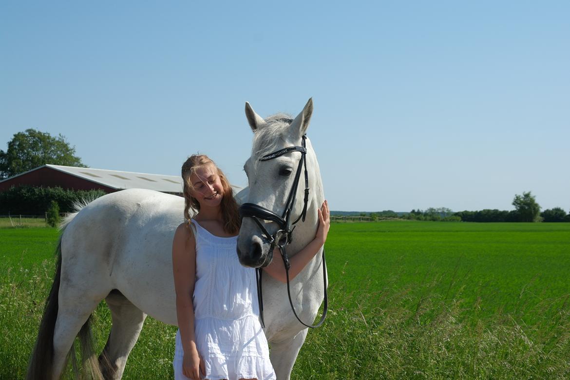 Anden særlig race Tequila  billede 6
