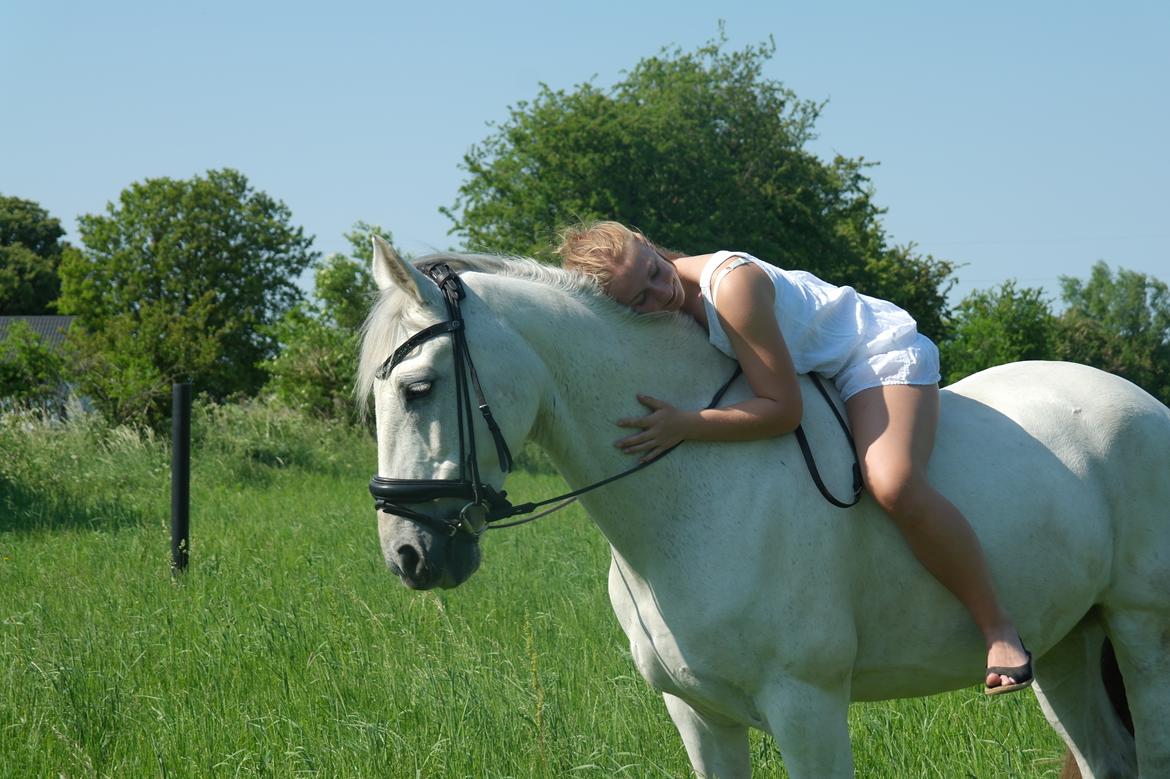 Anden særlig race Tequila  billede 8