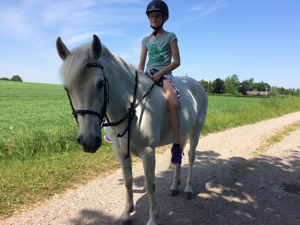 Connemara Monaboy Princess  - Nathalie og Princess  billede 3