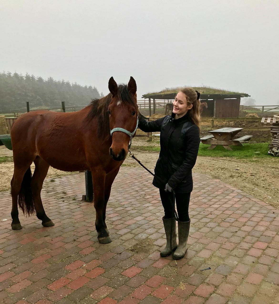 Frederiksborg Toby A Bjældsø - 27-12-2018 billede 12