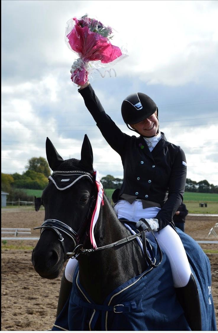 Welsh Partbred (Sec F) Laibek's Olympic billede 15