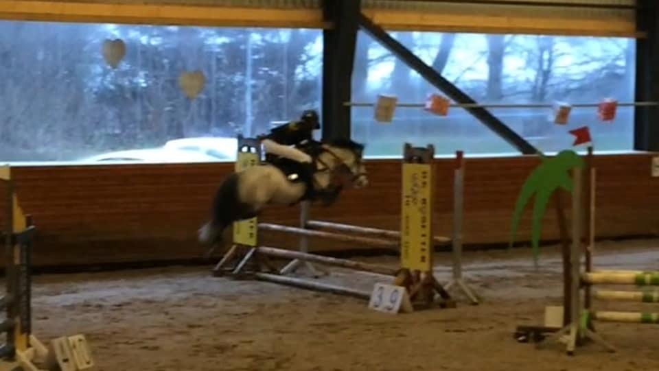 Anden særlig race Wupti billede 1